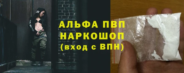 ешки Белокуриха