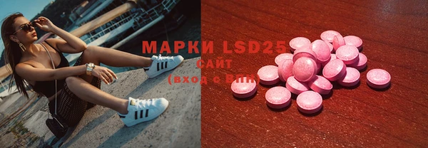 ешки Белокуриха