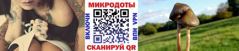 Купить  Горячий Ключ  Псилоцибиновые грибы мухоморы 