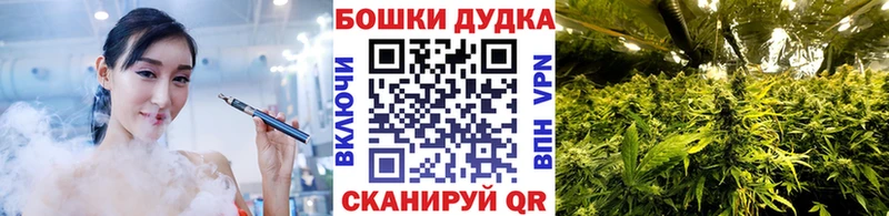 Купить где Горячий Ключ Конопля семена